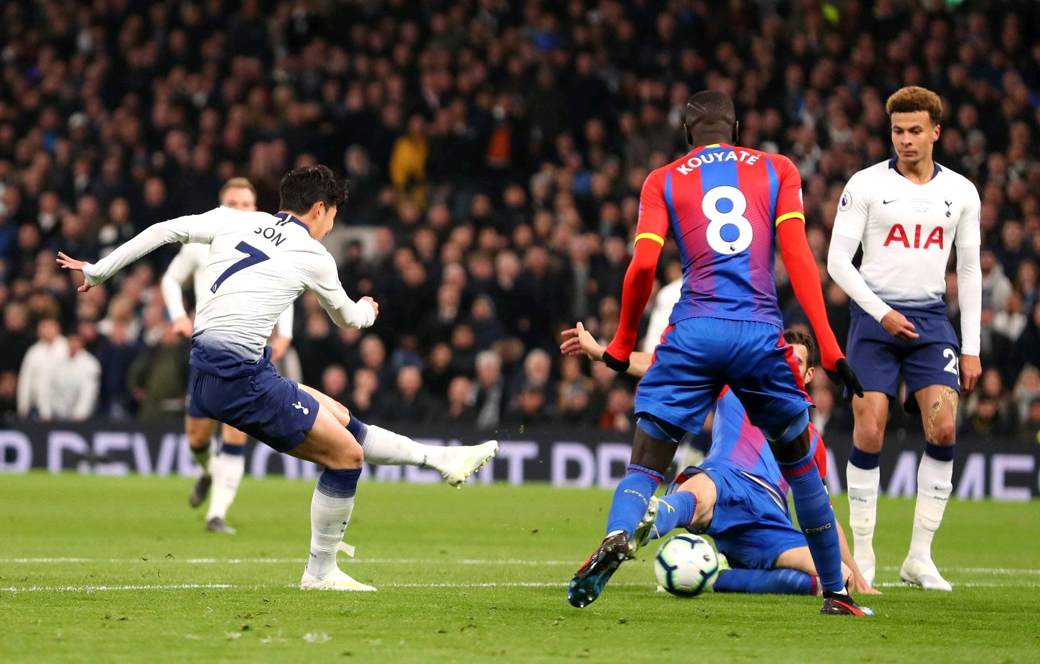 还向我们展 还向我们展